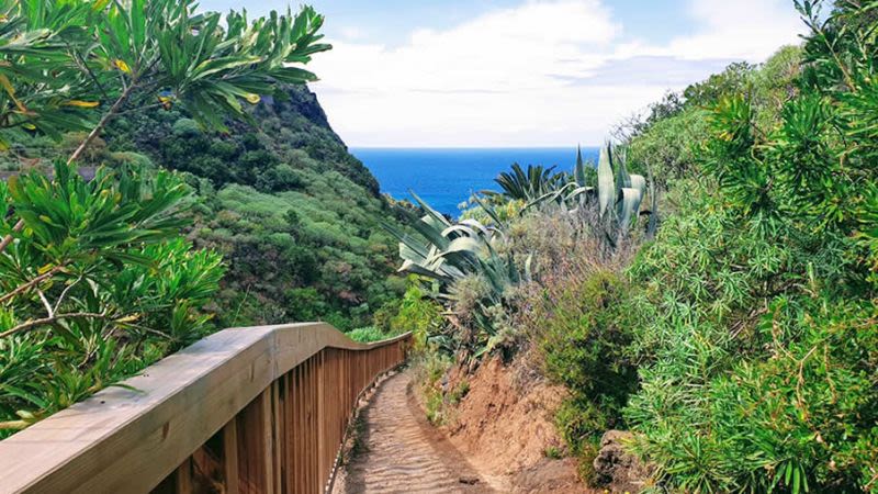 rambla de castro tenerife 