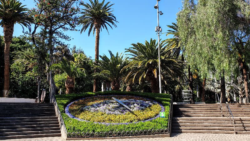 parque garcia santabria santa cruz tenerife 