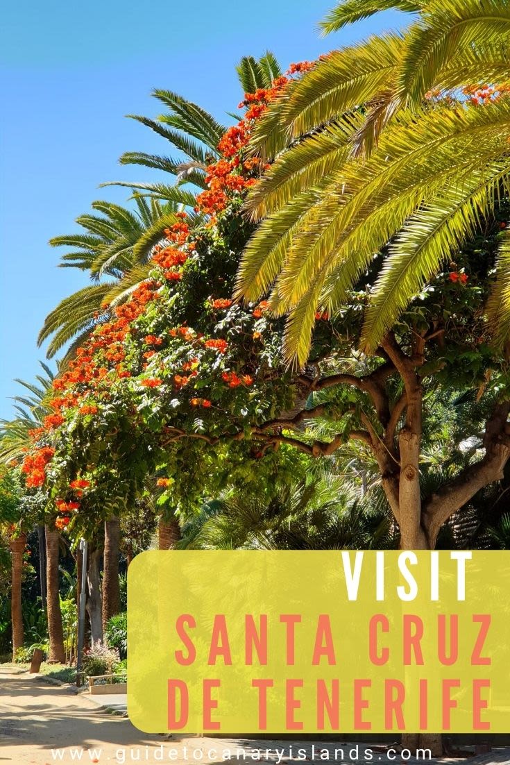 16 Best Things To Do in Santa Cruz de Tenerife - 2024 Guide