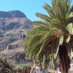 8-Hour Lazy Wednesdays Tour From Las Palmas