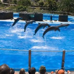 Admission Tickets for Palmitos Park