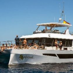 Morning Catamaran Cruise