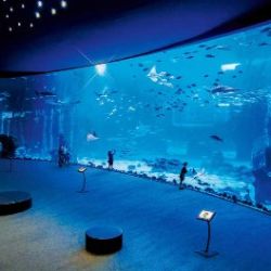 Poema del Mar Skip-the-Line Ticket  4.7 / 5 71 Reviews