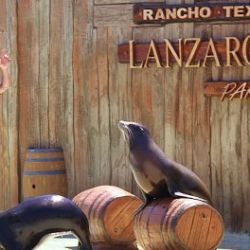 Rancho Texas Lanzarote Park Entrance Ticket