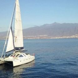 Abrazo Sailing Whale Watching Excursion