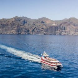 From Adeje: Whale and Dolphin Watching Cruise with Lunch