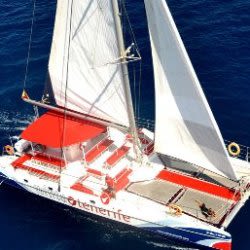 Tenerife 3-Hour Catamaran Whale Watching Experience