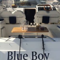 Tenerife 3-Hour Luxury Cruise with Whale & Dolphin Watching