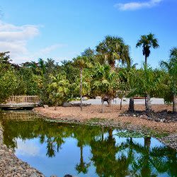 Tenerife Palmetum Ticket