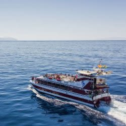 Whale and Dolphin Tour with Underwater Views