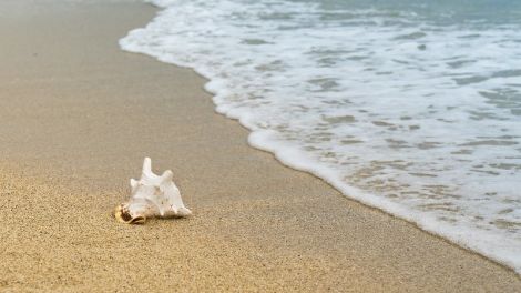 7 Best nudist beaches in the Canary Islands, Spain