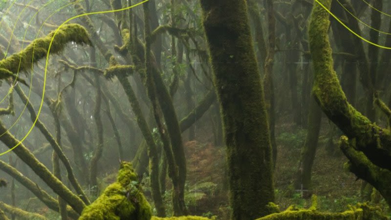 Around the world in 8 islands, a new promotional campaign for the Canary Islands