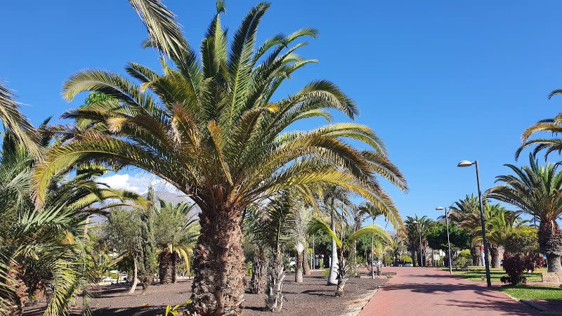 Spanish health form scrapped for people who have EU or EU equivalent certificates