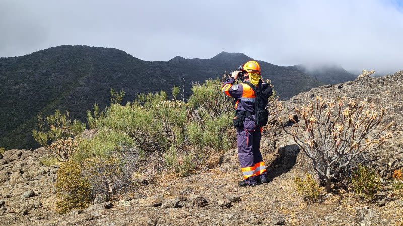 Human remains found in area of Tenerife where Jay Slater disappeared