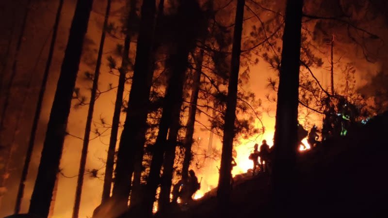 Tenerife wildfire, the most complicated one in 40 years in the Canary Islands