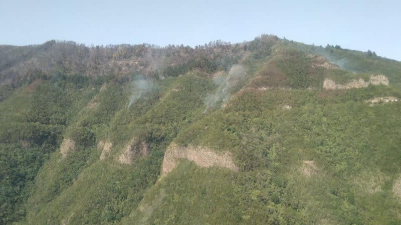 The fire in the North of Tenerife is now under control