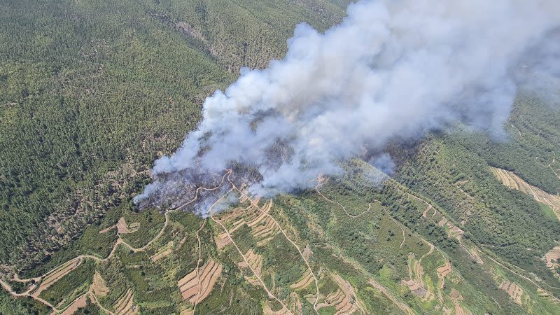 Fire in Tenerife continues, affecting around 200 hectares of forest