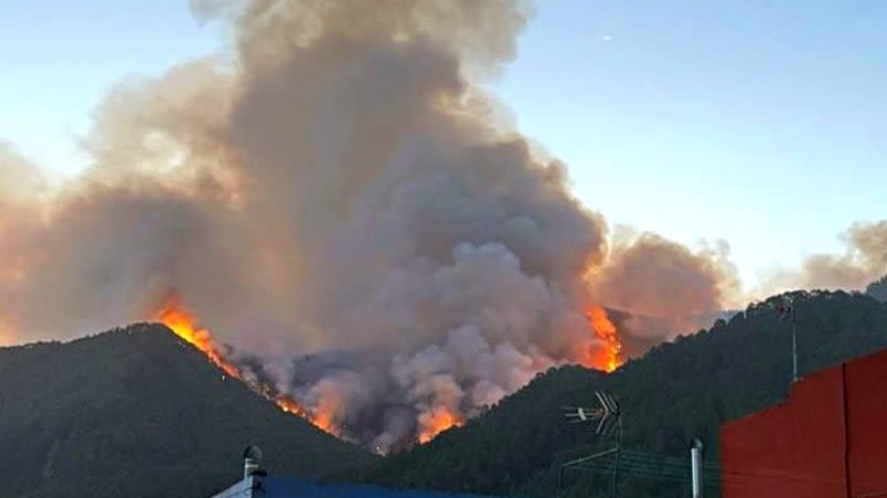 Tenerife wildfire continues to spread, so all access roads to Teide are currently closed