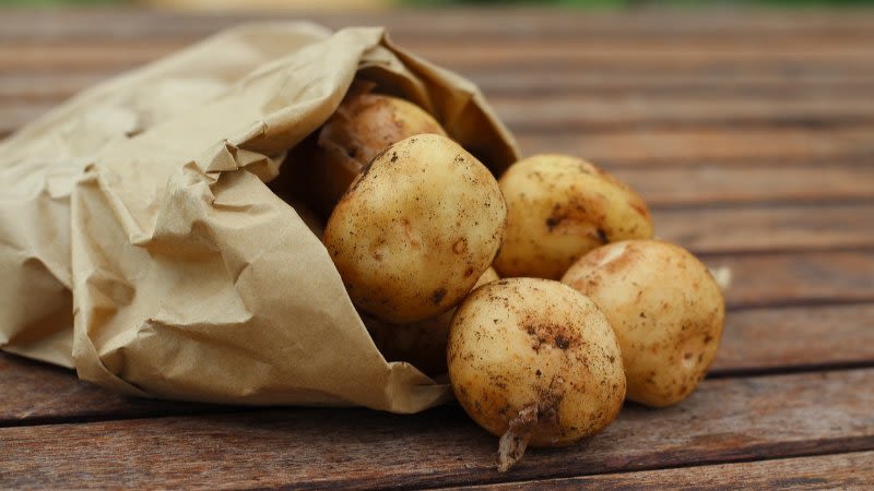 Spain authorizes the import of potatoes from the UK to the Canary Islands