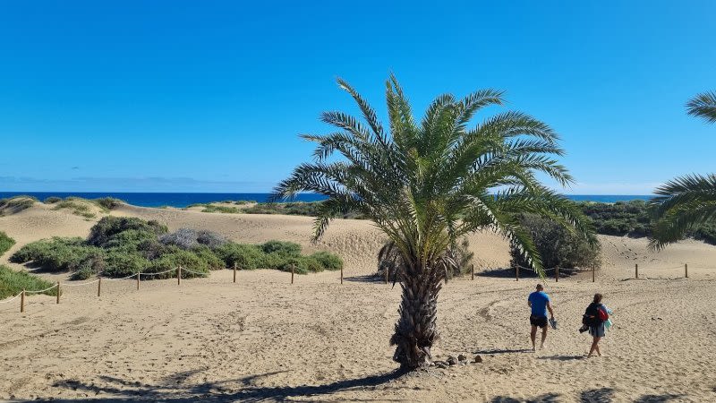 Aemet issues first heat warnings for Canary Islands as Saharan air mass arrives