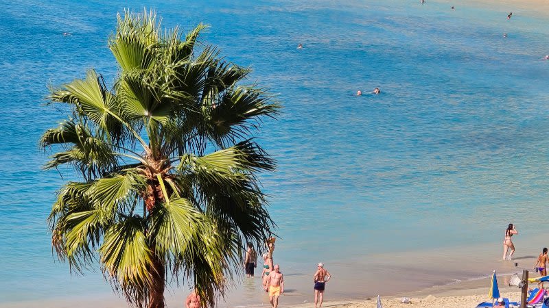 Canary Islands face hottest day of year as four islands placed on red alert