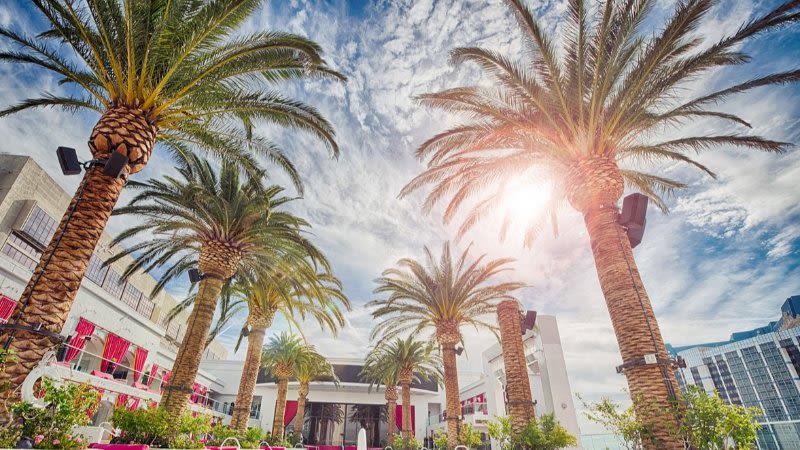 October Heatwave: Tenerife Records Unprecedented 39.4ºC