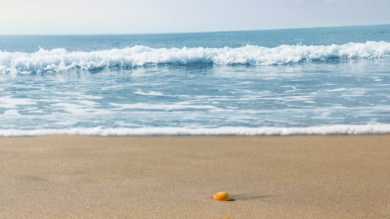 High temperature alerts activated in the Canary Islands this week