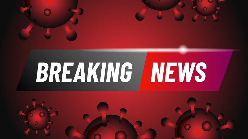 Supreme Court ruled against the curfew asked by the Canary Islands Government