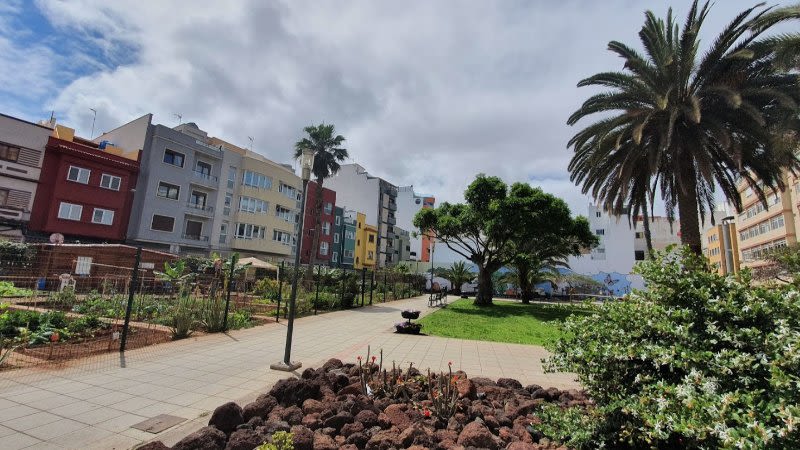 Pollution in the Canaries is reduced by up to 70% during lockdown