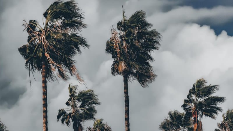 Aemet warns of unstable weather in the Canary Islands with high temperatures, calima and storms