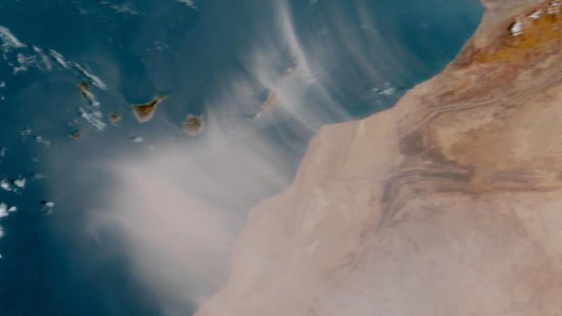 Intense calima of historic proportions affects the Canary Islands at the moment