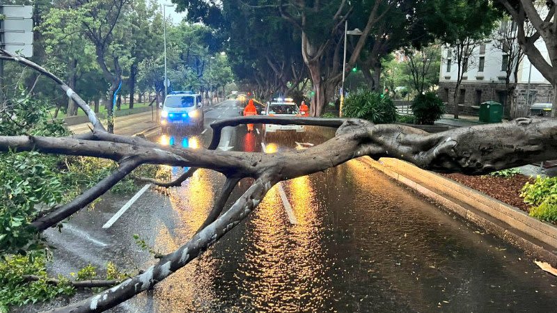 Hermine downgraded to tropical depression, still causes heavy rain in the Canary Islands