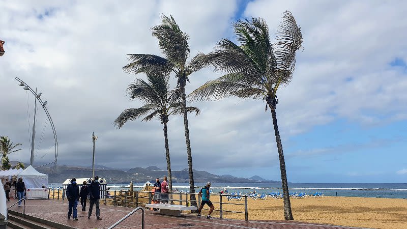 Heavy rains expected across Canary Islands as storm Olivier approaches