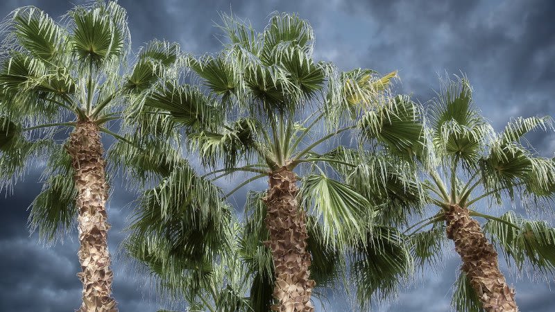 Canary Islands start the weekend with rain and cloudy skies