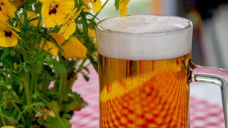 Oktoberfest Corralejo 2019