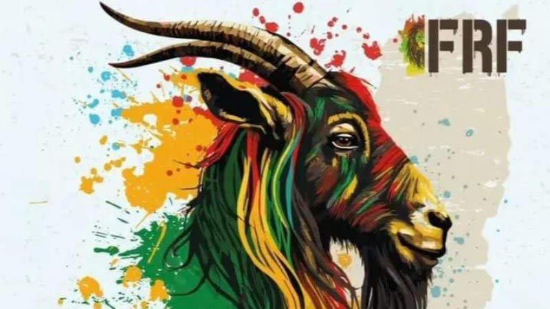Fuerteventura Reggae Festival celebrates its 7th edition