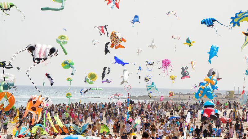Over 40,000 people attended Fuerteventura Kite Festival this year