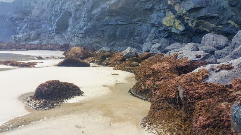 Does It Snow in Fuerteventura?