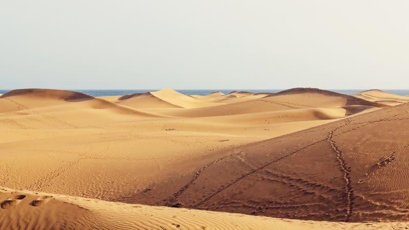 12 BEST Things To Do in Maspalomas, Gran Canaria