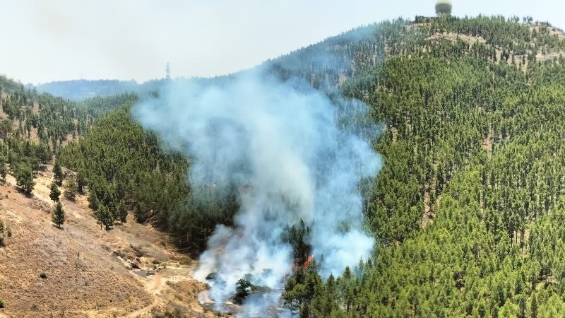 Wildfire in Gran Canaria reaches Pico de las Nieves