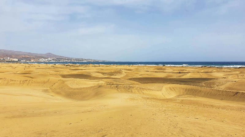 Maspalomas Beach and Sand Dunes - A Must See in Gran Canaria