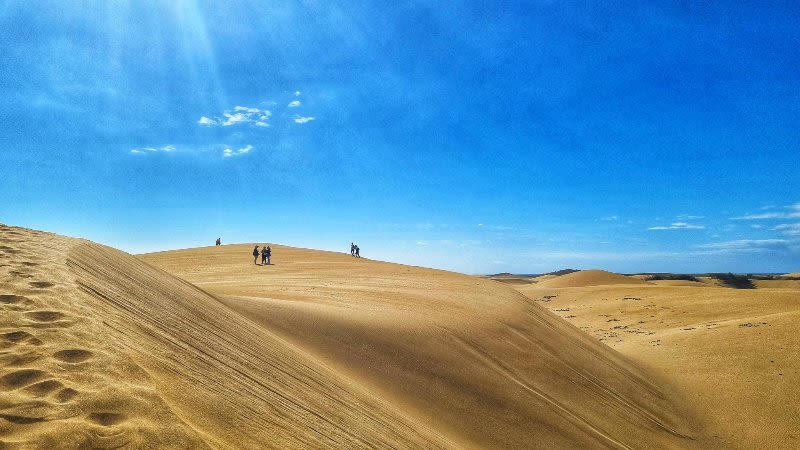 15 Best things to do in Maspalomas, Gran Canaria