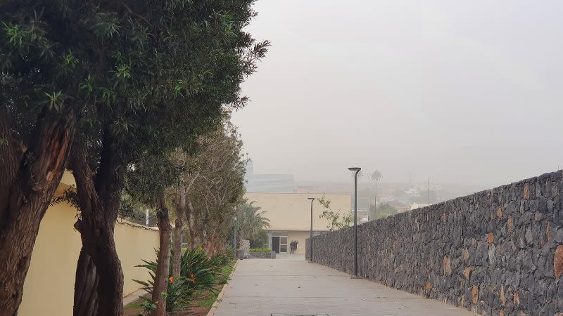 Calima continues to affect the Canaries on Thursday, as well as heavy rain in La Palma