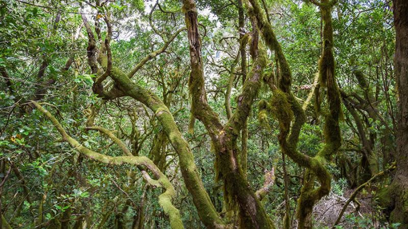 7 Best Things To Do in La Gomera - Points of Interest & Attractions
