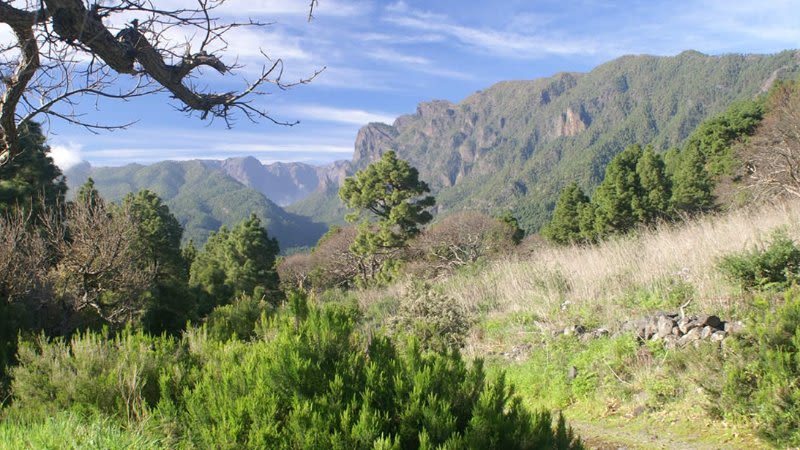 13 Images That Show Why La Palma Is Called Isla Bonita