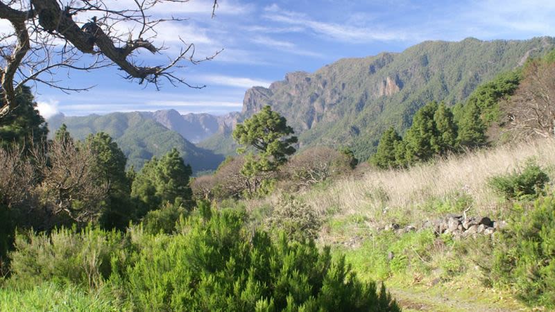 10 Best things to do in La Palma, Canary Islands - Tours & places to visit