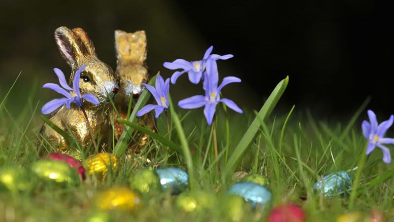 Easter in Tenerife 2017