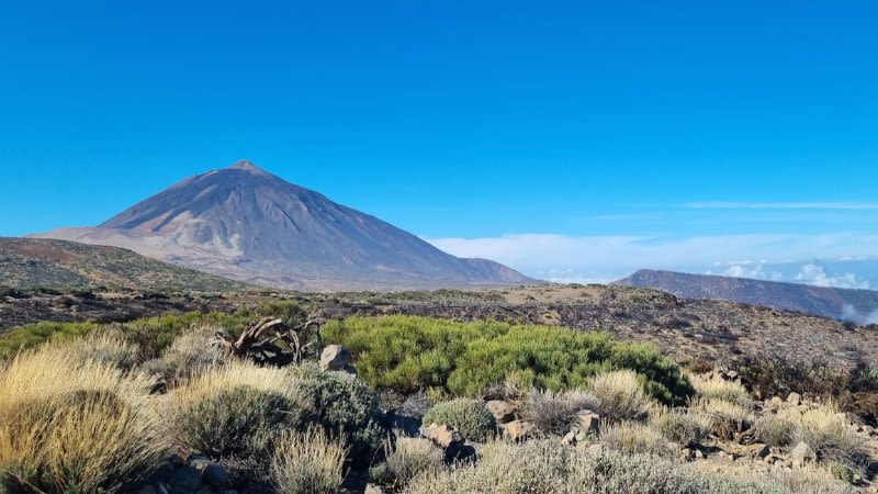 Stranded tourist saved thanks to the SOS Button at Teide Cable Car Upper Station