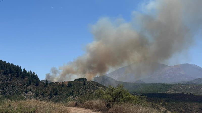 Wildfire forces evacuation in Tenerife as emergency crews intensify response