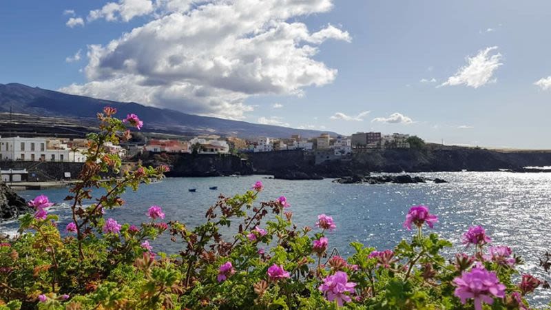 Visit Alcala, Tenerife: Things to do, Beach, Hotels & Events